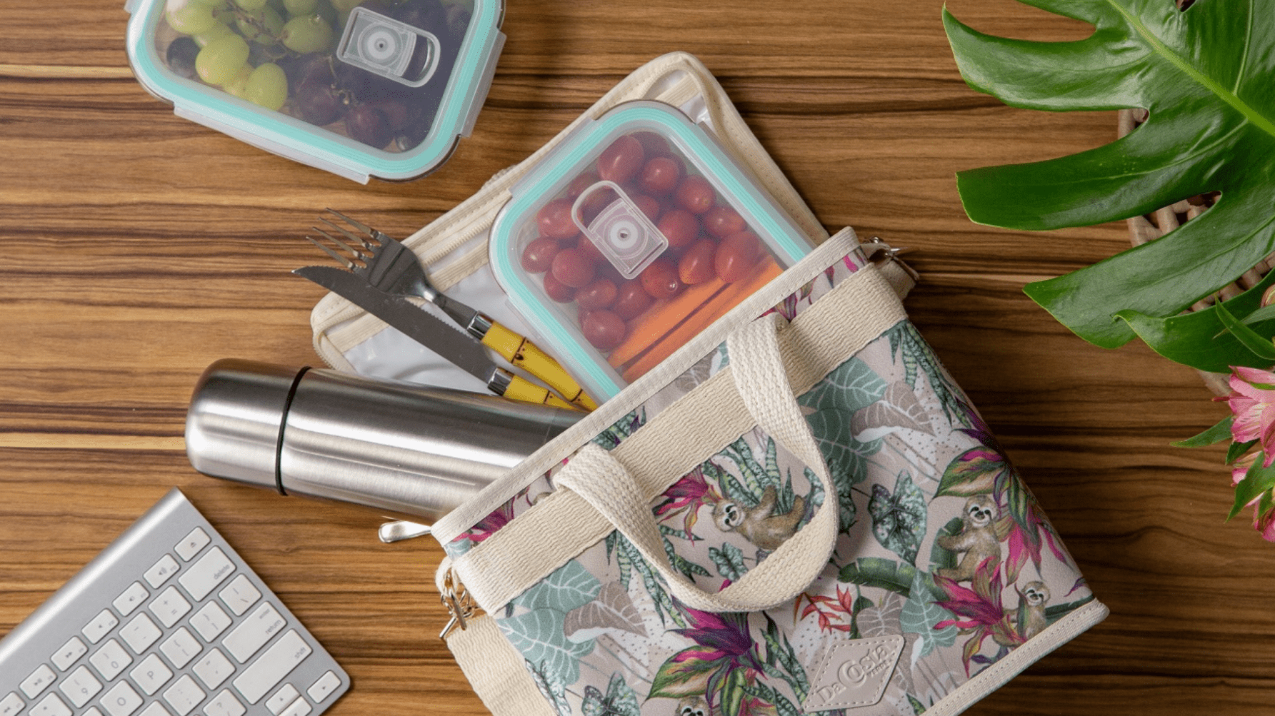 6 Sustainable Household Product Swaps You Should Make (Like Our Lunchbox!) - DACOSTA