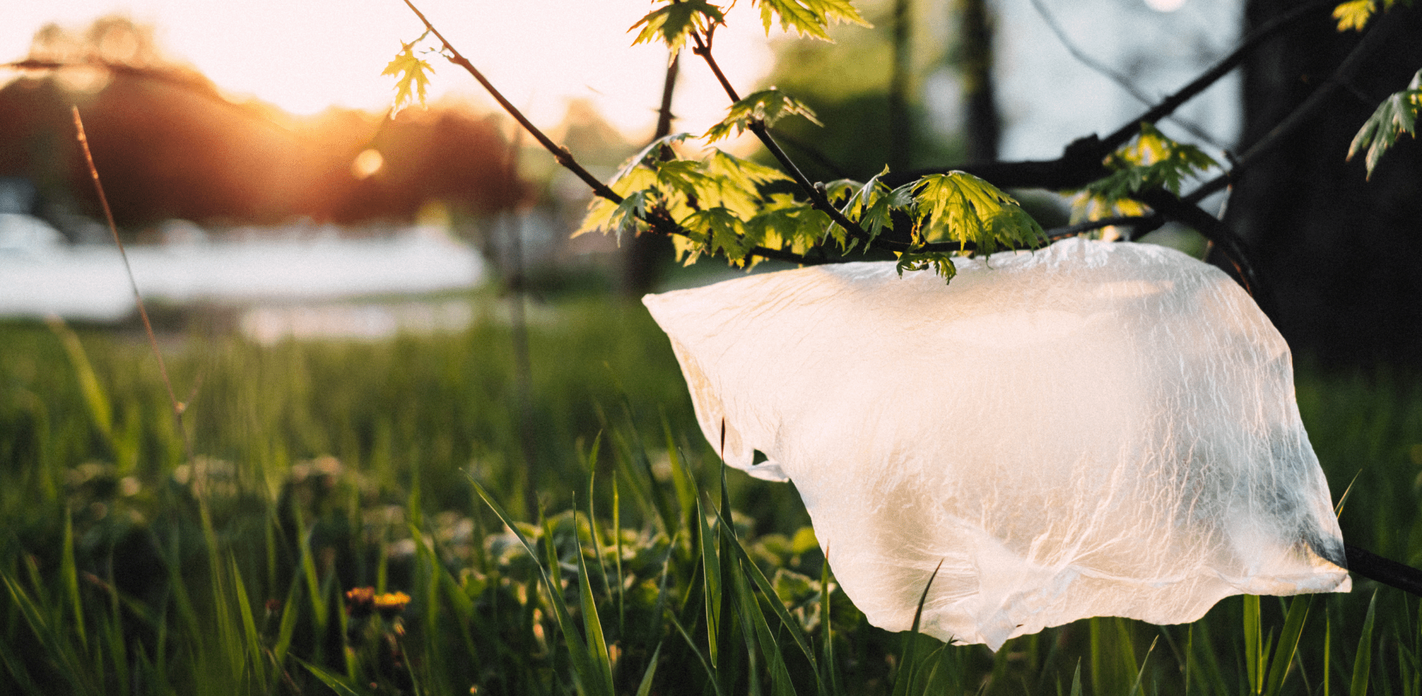 What Is PVC, and Why Is It Such a Problem? - DACOSTA