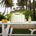 Box Cooler Sage Stripe - DACOSTA